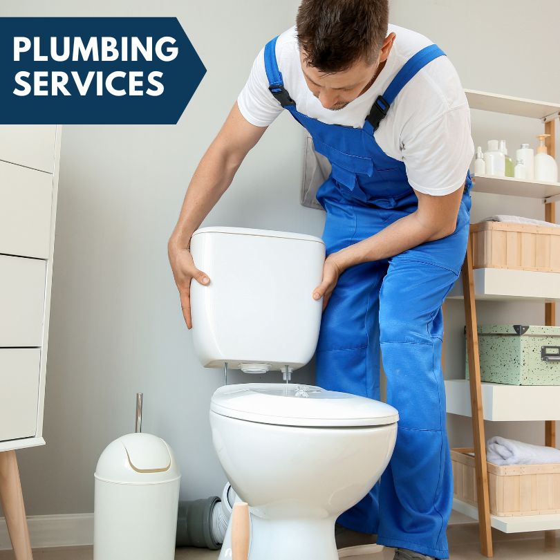 Plumbing Company in Fox River Grove, IL